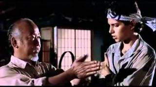 "Miyagi Reiki"  from The Karate Kid (1984) Columbia Pictures