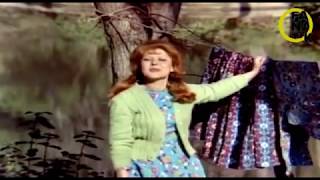 Niyet - Demiyom mu? - Neşe Karaböcek