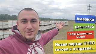Дальнобой по Америке 10,000 Километров меньше чем за неделю. Новый Полосатый рейс Ответы на Коменты