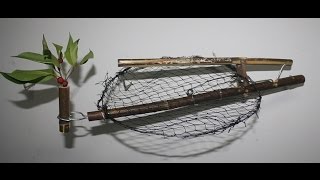 กับดักนก (Song Bird Trap,陷阱鸟)