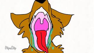 Big wolf eats crying kitten vore video