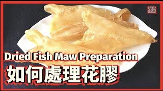★ 賀年食譜 - 如何處理花膠 ★ | Dried Fish Maw Preparation