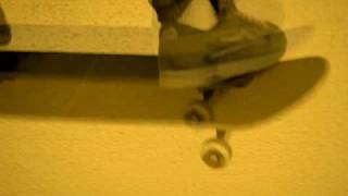 360 Flip, by Pat Duffy