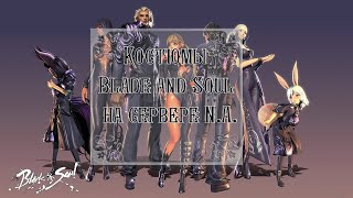 Костюмы и украшение на сервере N.A. Blade and Soul