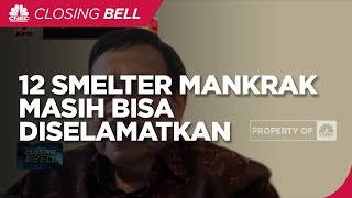 12 Smelter Mangkrak Masih Bisa Diselamatkan? Ini Kata AP3I