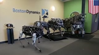 Google's robot dog: Boston Dynamics puts robot dog Spot through training day