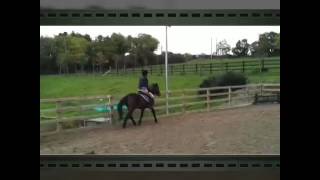 Look At Me Now~ Above Knee Amputee 1 year ☆