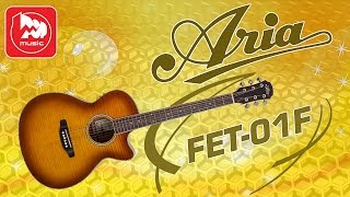 Электроакустическая гитара ARIA FET-01FX (есть встроенная реверберация и хорус)