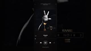 Kaaris ft mac tyer, Fianso briganté