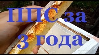 улей из пенополистирола ? своими руками три года эксплуатации