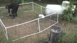 Bunny's to be butchered for BBQ