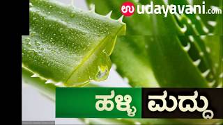 ಹಳ್ಳಿ ಮದ್ದು - ಅಲೋವೆರಾದ ಅದ್ಬುತ ಲಾಭಗಳು || Health Benefits of Aloe Vera
