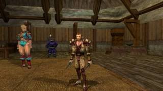 Neverwinter Nights за вора Часть 3