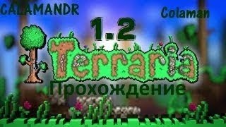 Terraria 1.2 [ #6, Убийство Скелетрона ! ] [ Прохождение ] (Coop С Денисом) (RUS) 720p