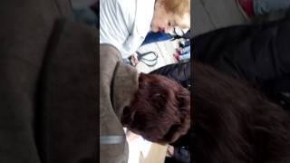 Херсон Дорофеева 10, регистрация членов ЖБК 19.04.2017