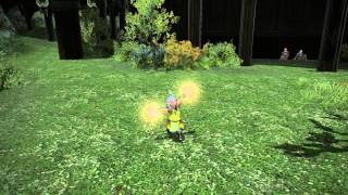 FFXIV Lalafell emote glitch