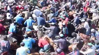 Көкпар Кокпар Kokpar Kazakhstan