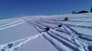 High Speed Snowmobile Crash