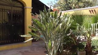 Casa Montecristo - Listing 2478