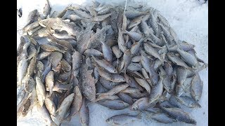 Рыбалка на Балхаше, база Успех