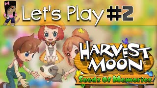 Harvest Moon: Seeds of Memories: Exploring Town