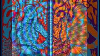 David McGowan - The Laurel Canyon Conspiracy