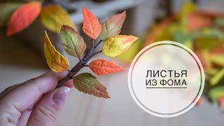 Осенние веточки с листьями из фоамирана /Autumn branches and leaves of foam