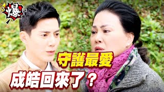 《多情大爆爆》多情城市 EP337 守護最愛 成皓回來了？