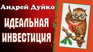 ИДЕАЛЬНАЯ ИНВЕСТИЦИЯ. Во что лучше инвестировать. Андрей Дуйко