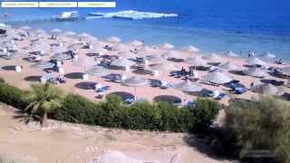 Египет сегодня и сейчас Шарм эль-Шейх в полдень Egypt Sharm El-Sheikh at noon 09.11.2015 LIVE