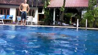 2012phuket patng HYTON LEELAVADEE HOTEL pool