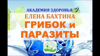 Грибок и паразиты. Очистка от паразитов и грибков. Кандида (кандидоз) | #ЕленаБахтина