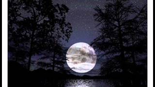 Daishi Dance - Moon Garden