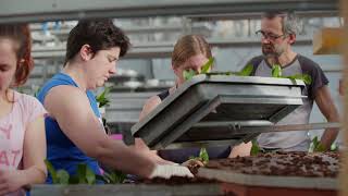 Finalist This-Priis 2018: Meyer Orchideen AG