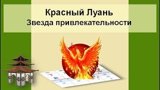 Звезда Красный Луань.  Не только романтика.