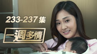 一週多情 EP233-237 | 正群之子誕生 加烈當現成父親！