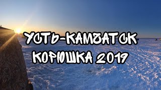 рыбалка корюшка сезон 2019 Камчатка УСТЬ-КАМЧАТСК