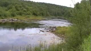Архангельская обл. п. Подюга