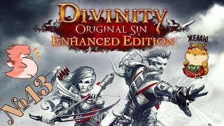 Прохождение Divinity Original Sin Enhanced Edition Серия 43 "Хранитель"