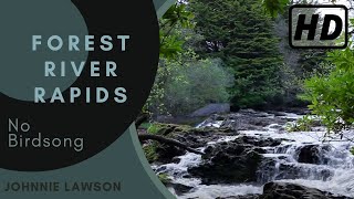 Forest Nature Sounds W/O Birds Singing-Soothing Sound of Waterfall Relaxation-Mindfulness-Meditation