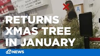 Man irate after Santa Clarita Costco lets woman return dead Christmas tree in January