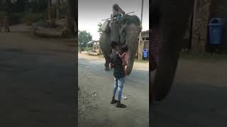 Arpita Gaj video