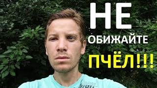 Не обижайте пчёл (НАЗАД В ПРОШЛОЕ)