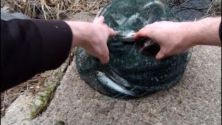 РЫБАЛКА ВЕСНОЙ, БЕШЕНЫЙ КЛЕВ НА ПОПЛАВОЧНУЮ УДОЧКУ В ЧЕРТЕ ГОРОДА, ГОРОДСКАЯ РЫБАЛКА!