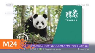В продажу поступила "Тройка" с изображением бамбукового медведя - Москва 24