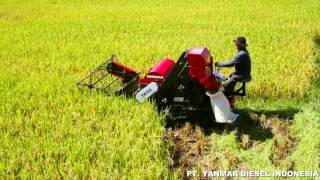 YANMAR Mini Combine Harvester YH150