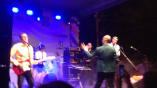 The TIMERS band - Venus (She's got it). Подбелка-2014