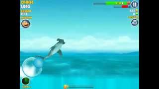 Hungry Shark Evolution! Время ужина! Серия 24! Голодная акула! Игра