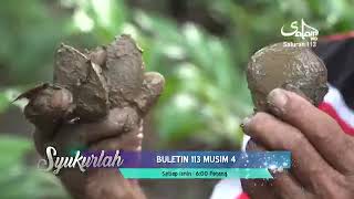 Buletin 113 Musim 4 | Episod 1- Rezeki Si Pengecal