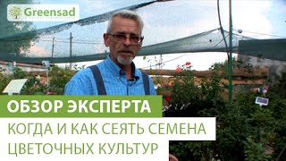 Когда и как сеять семена цветочных культур